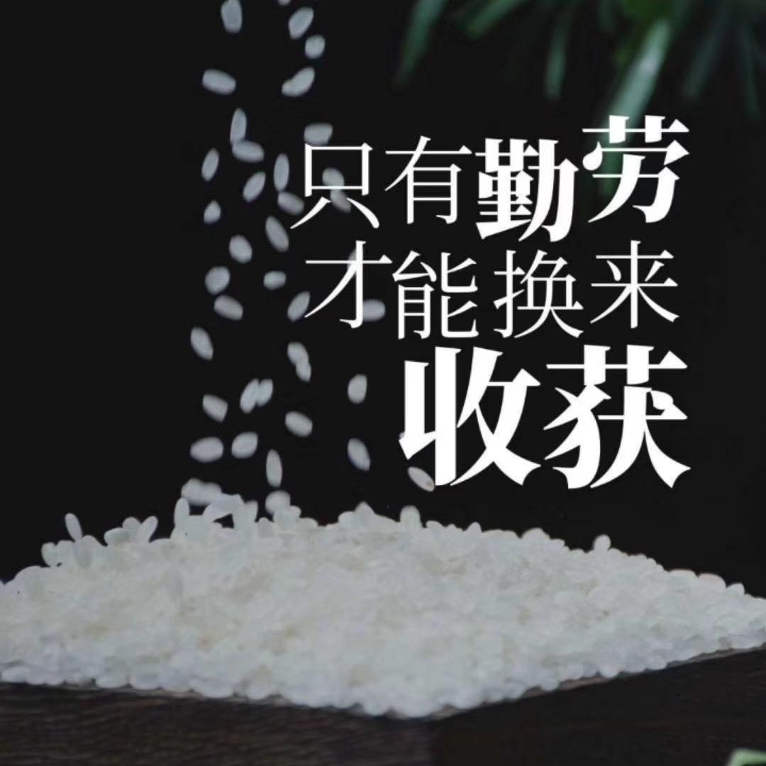 鸡蛋姐玩具