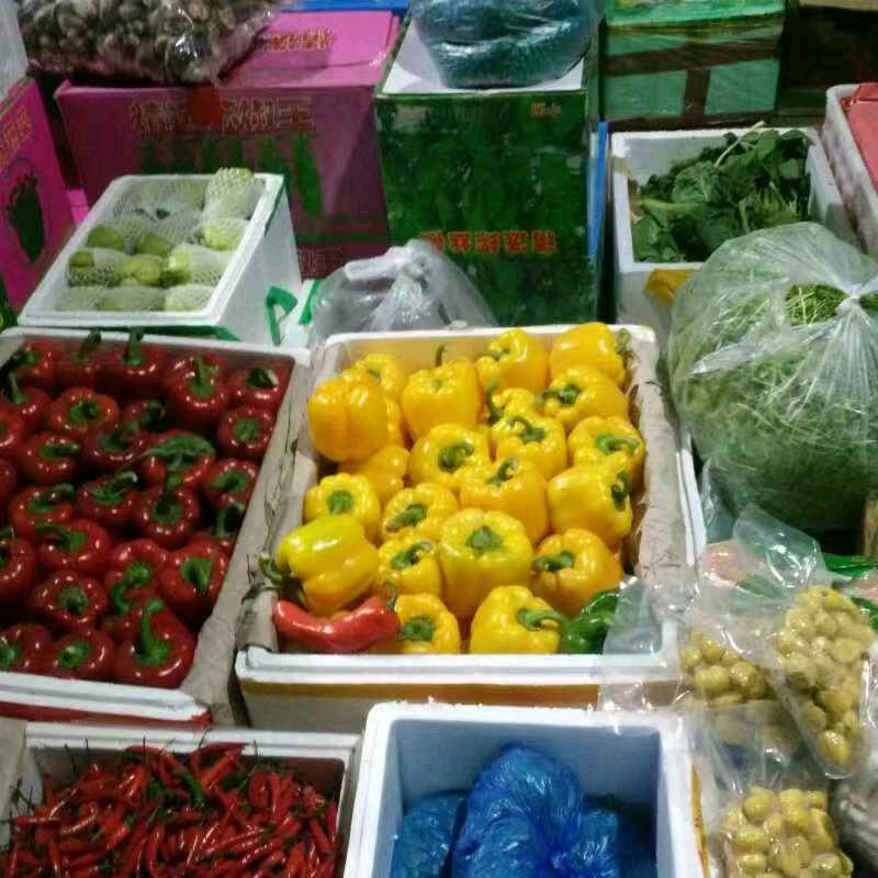 蒙城新发地刘坤精品蔬菜批发新发地