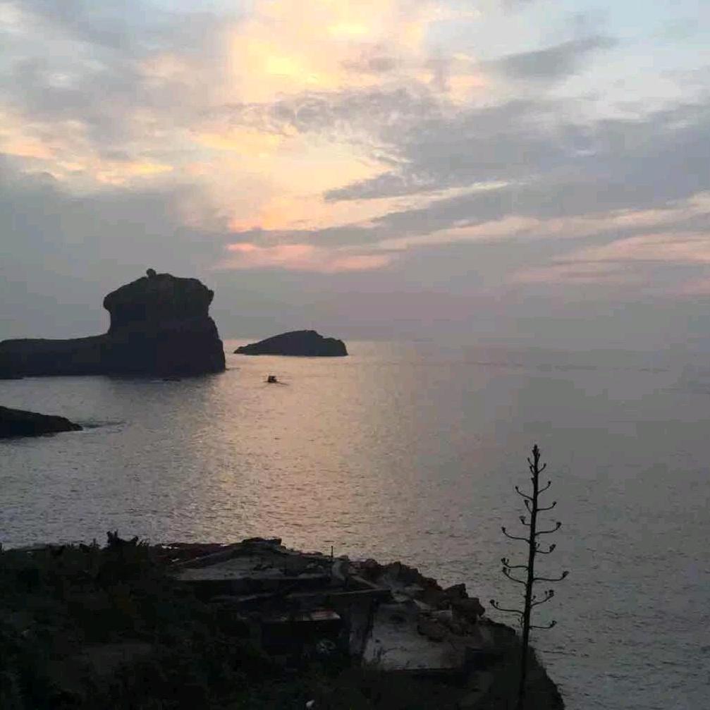 红海黑魚