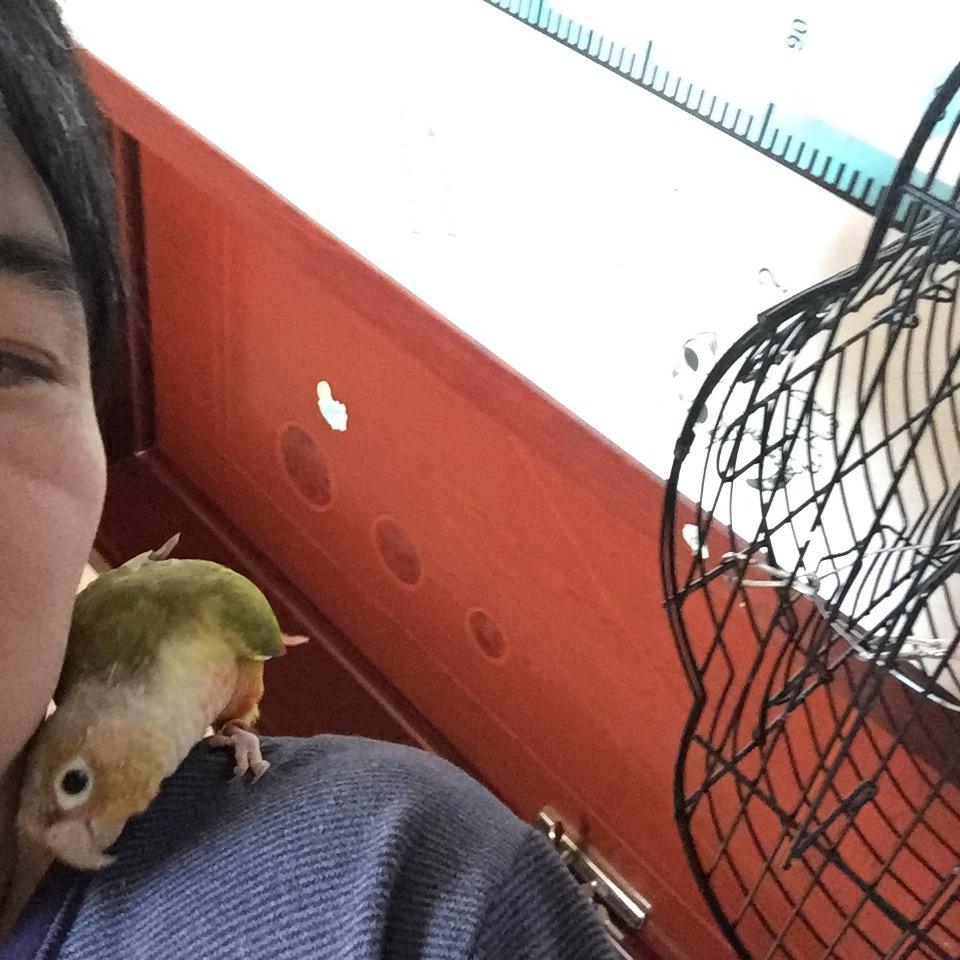 太阳