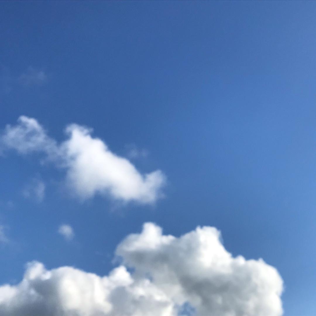 敬栩