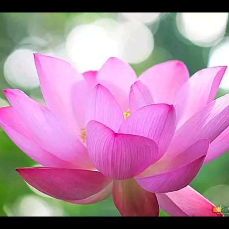 用户:雨后彩虹