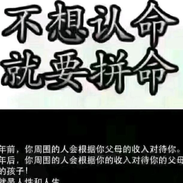 圆琦正YQZ