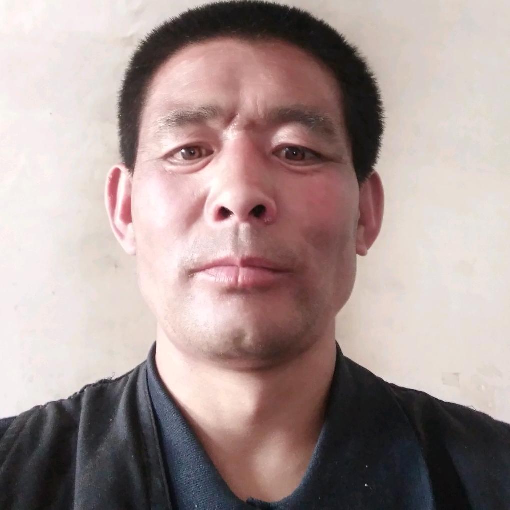 孤傲王者