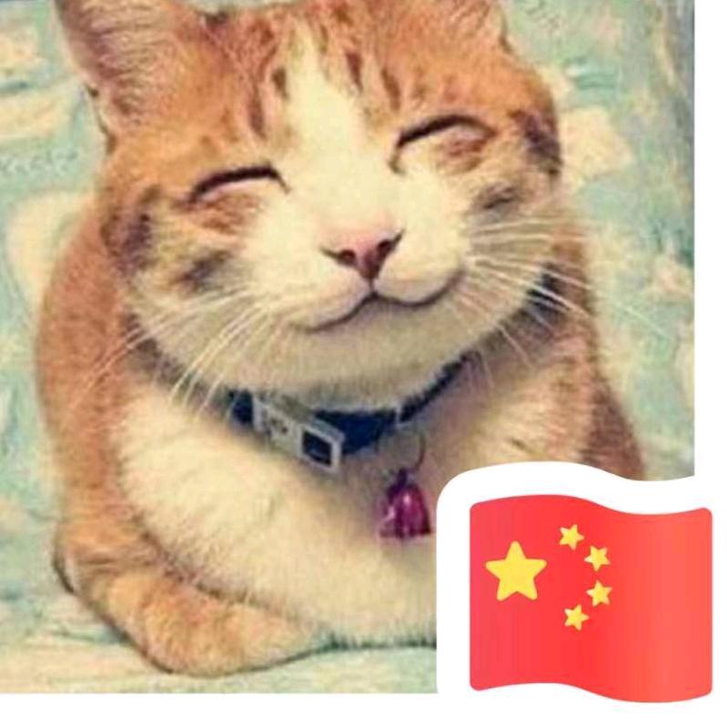 猫小懒