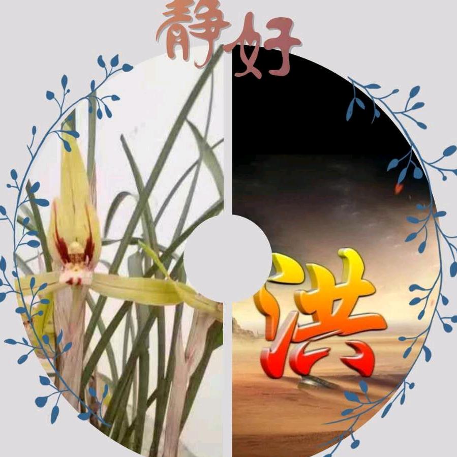 淡泊以明志，