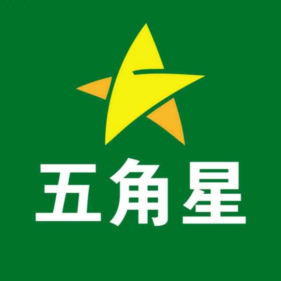 五角星少儿美术【总部】