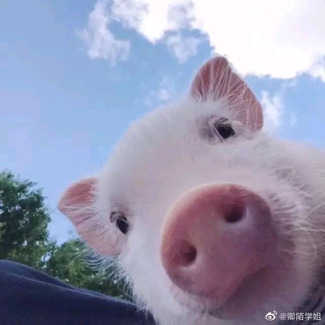 我妈叫我王成烦