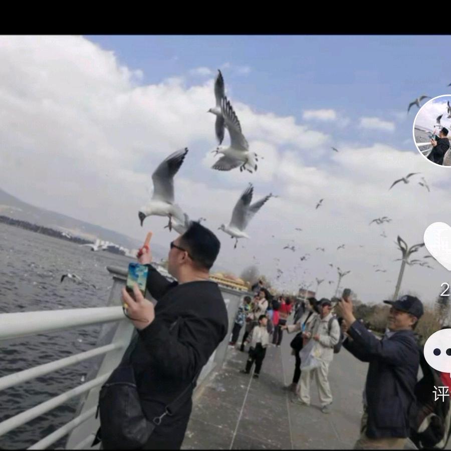 人在江湖身不由己