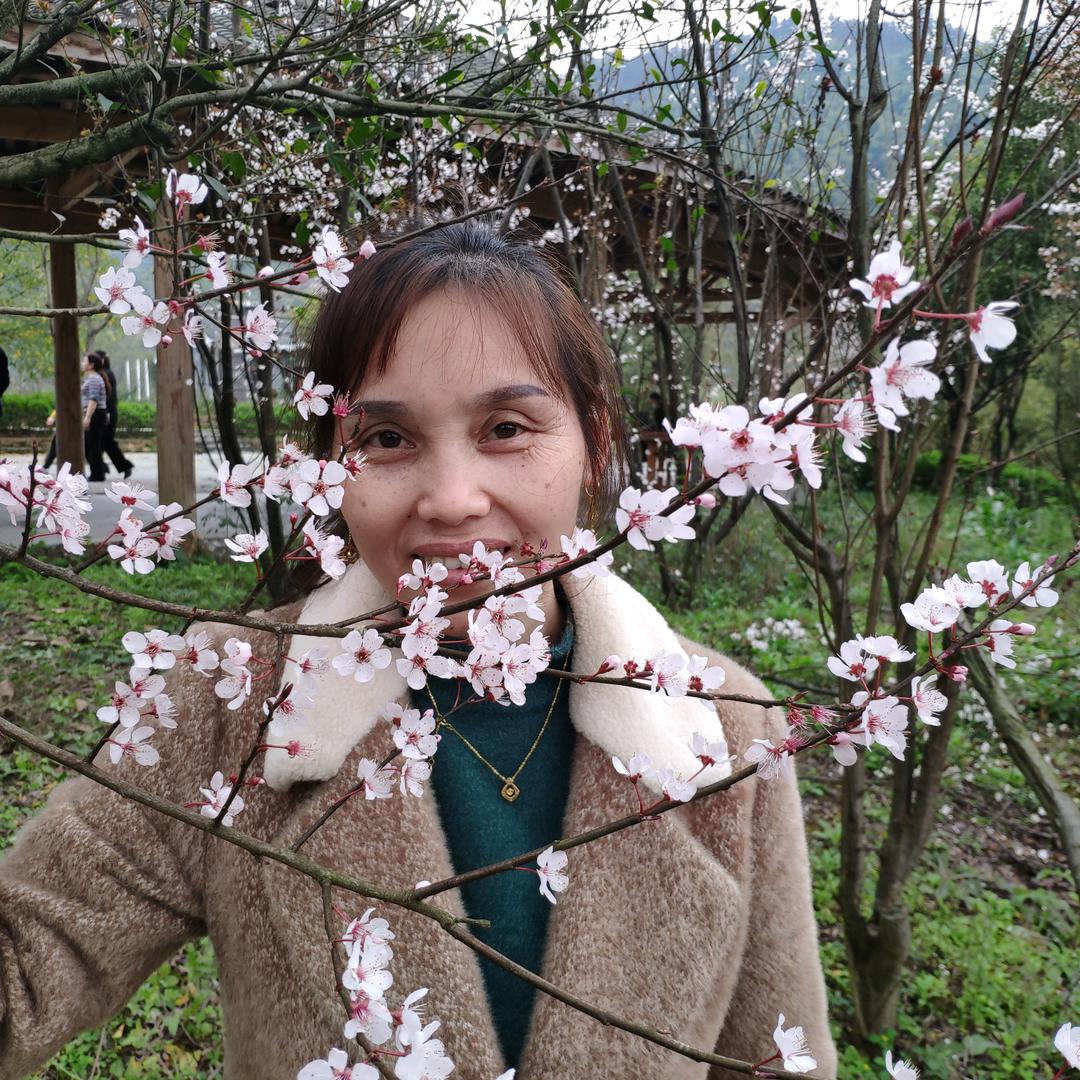 春天在哪里