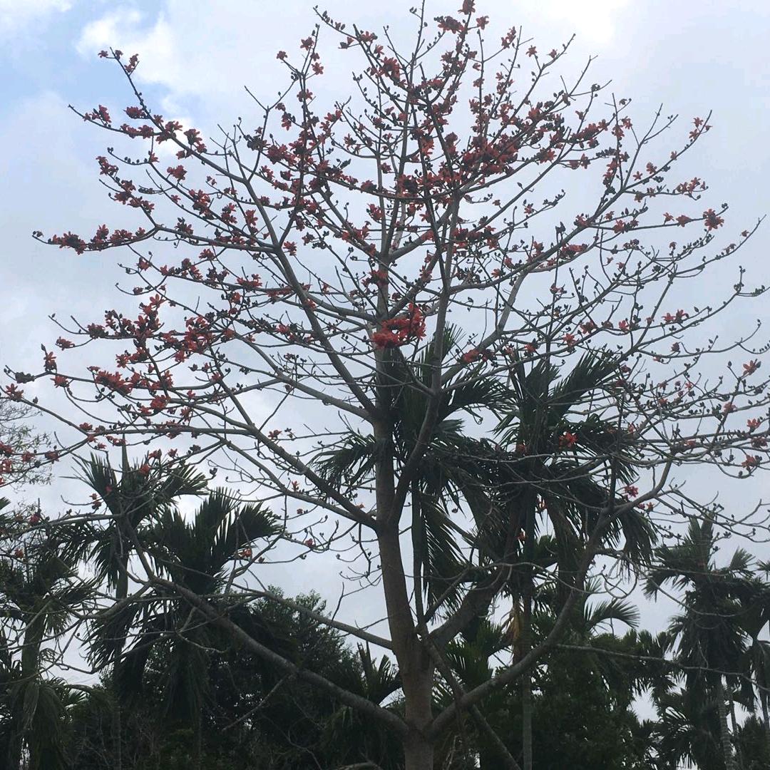 手机用户632119爱在天下