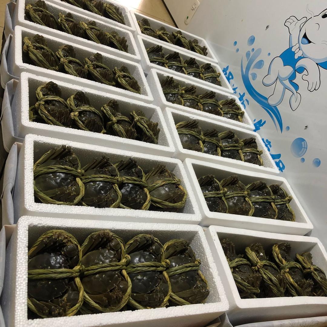 玉爪牌长荡湖大闸蟹