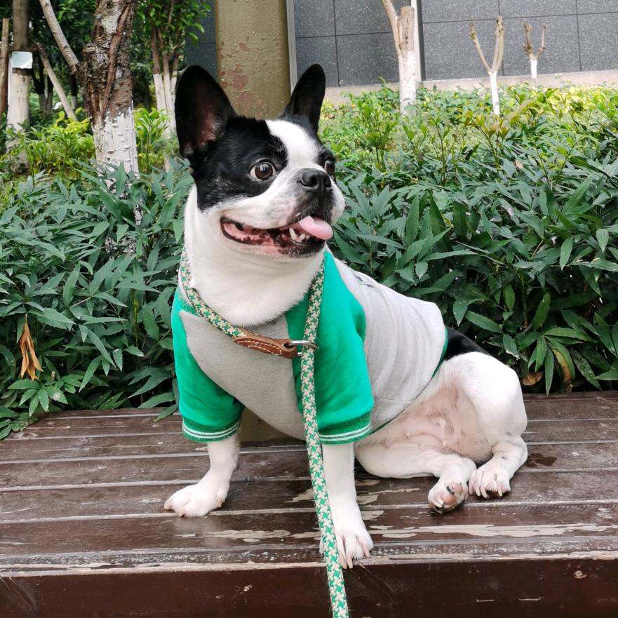 包子是酱肉馅的