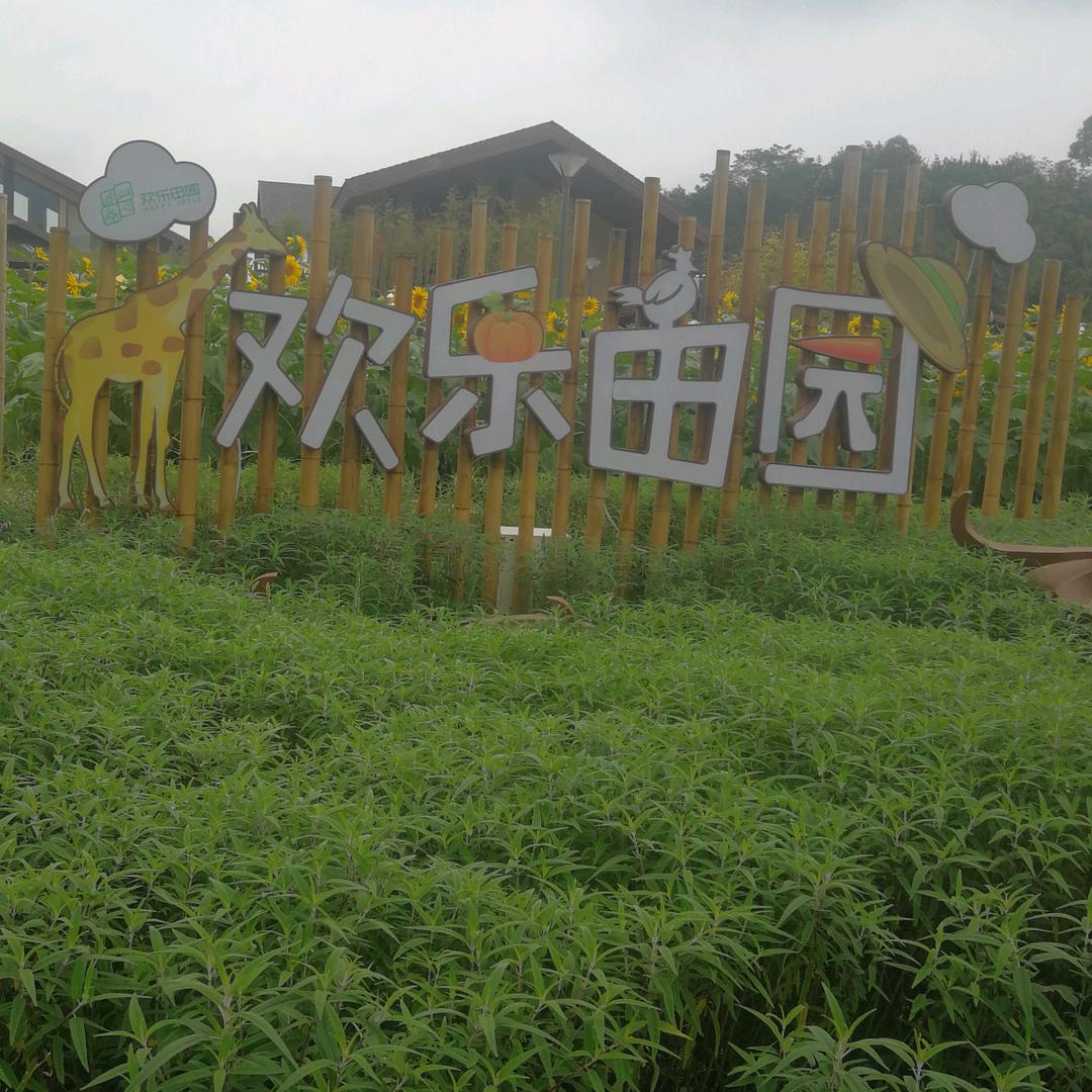 明天更美好