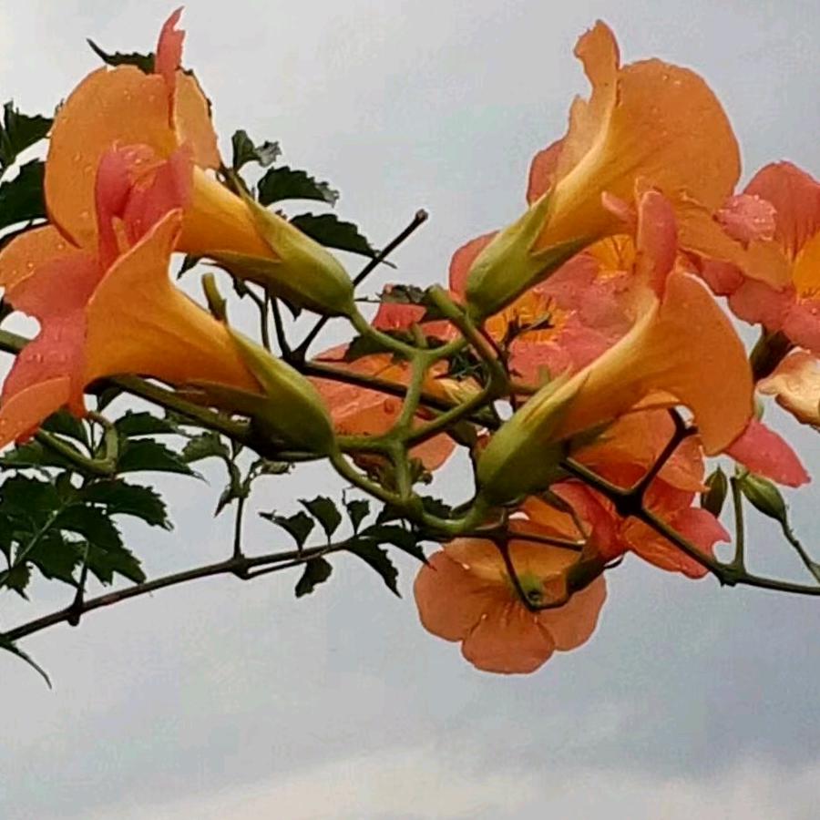 一生平安