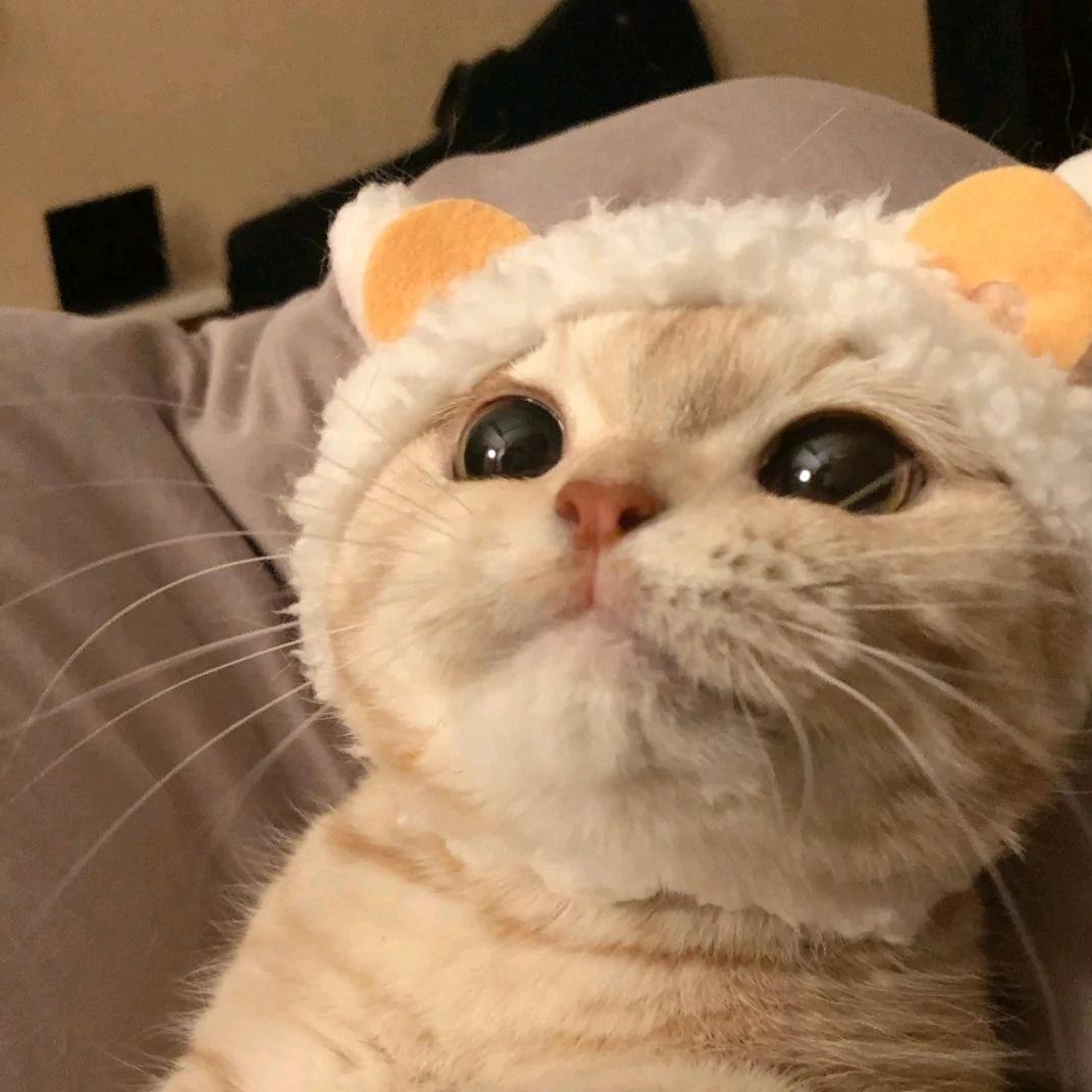 四四月(逆水寒手游)