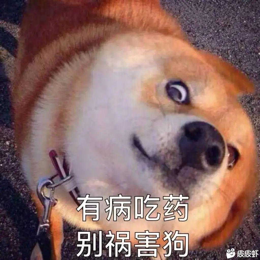 周哈哈