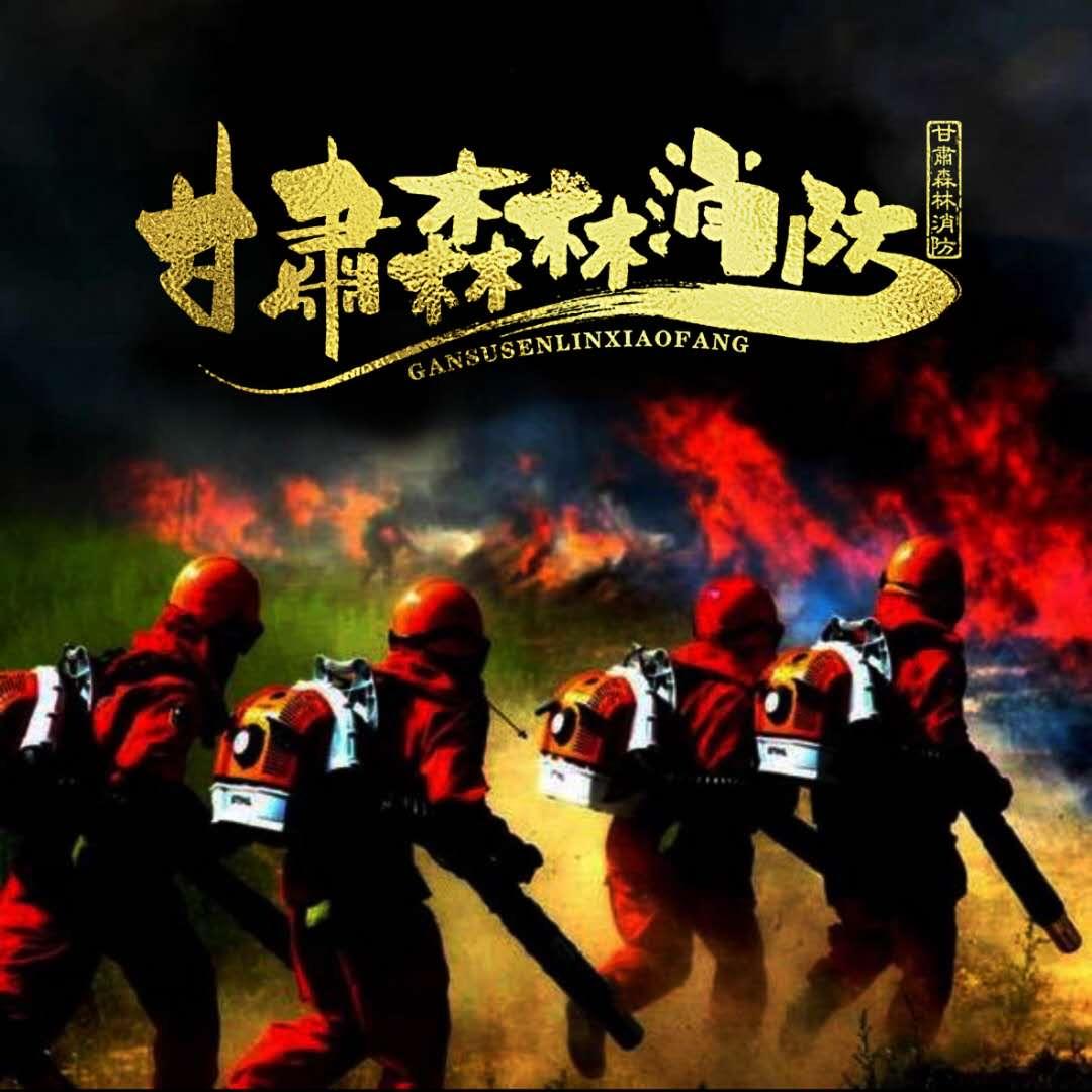 甘肃森林消防