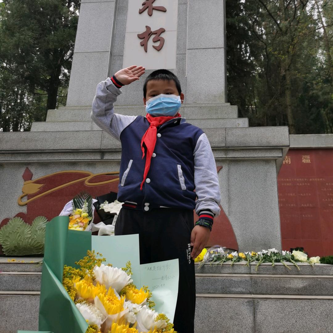 毛毛虫