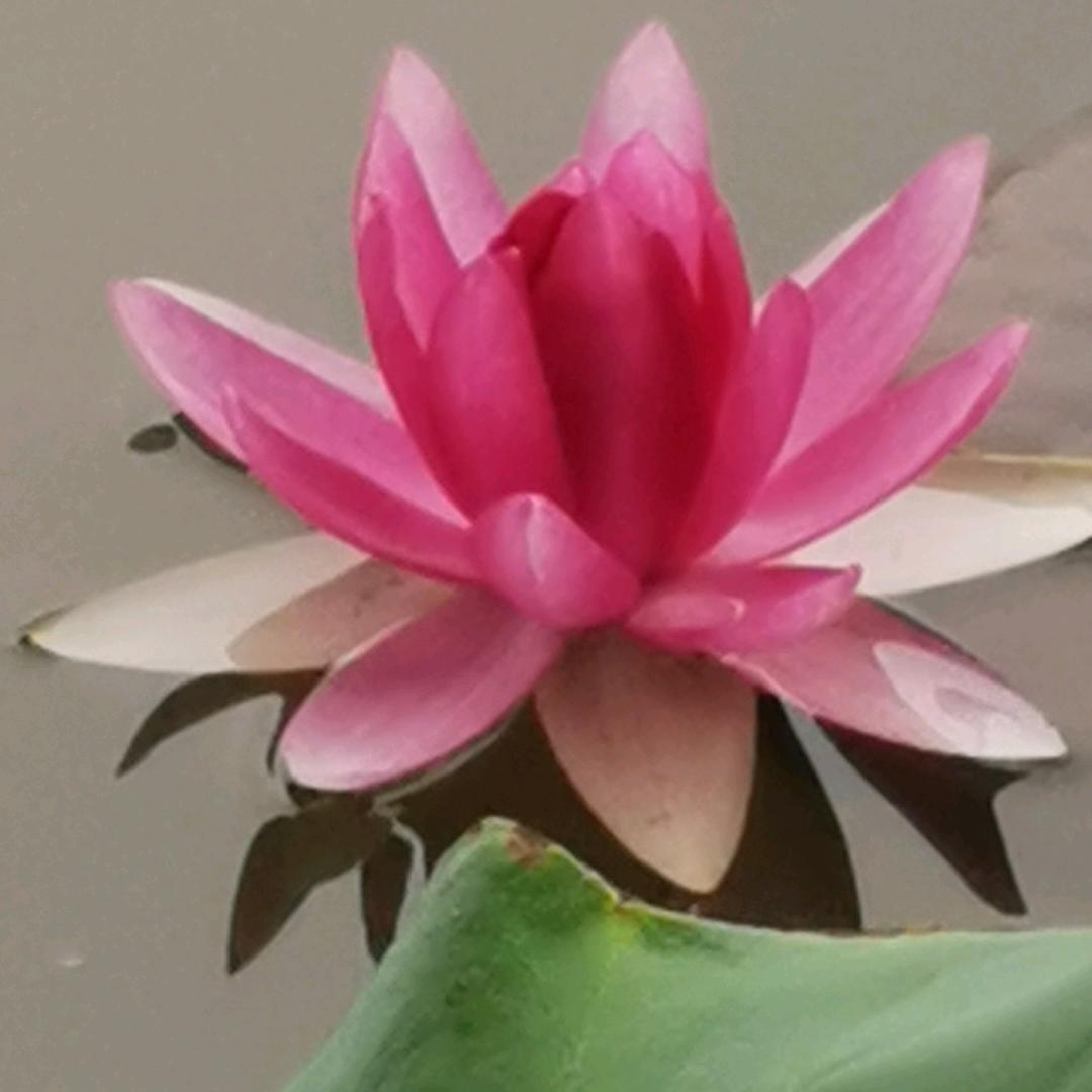 无语☀️☀️⁵²⁶⁶