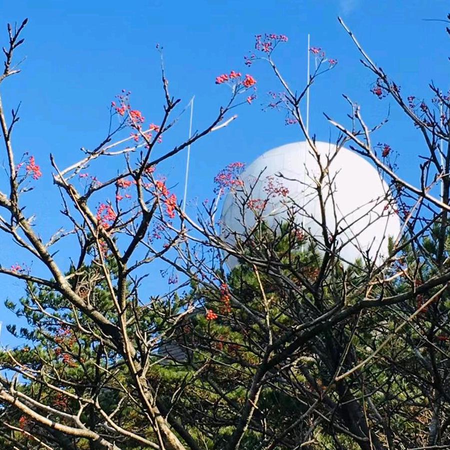 小五的精品百货店