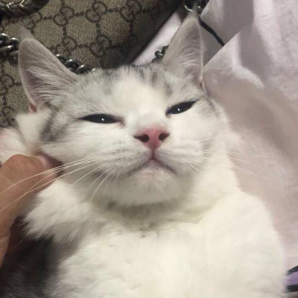 蛋壳壳子