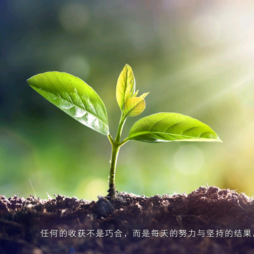 心愿