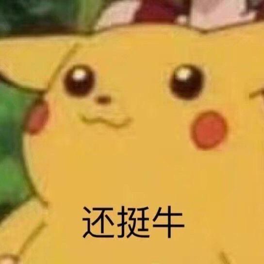 尼古拉斯钢蛋