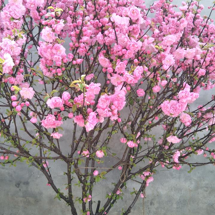 💦我本善良🚴🏻❤