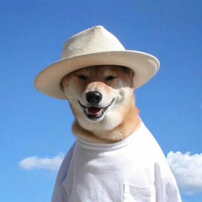 步步糕升ɷʕ •ᴥ•ʔᰔᩚ