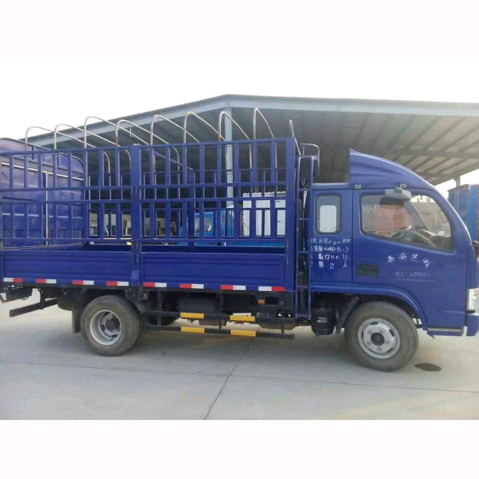 周至果农，何中卫