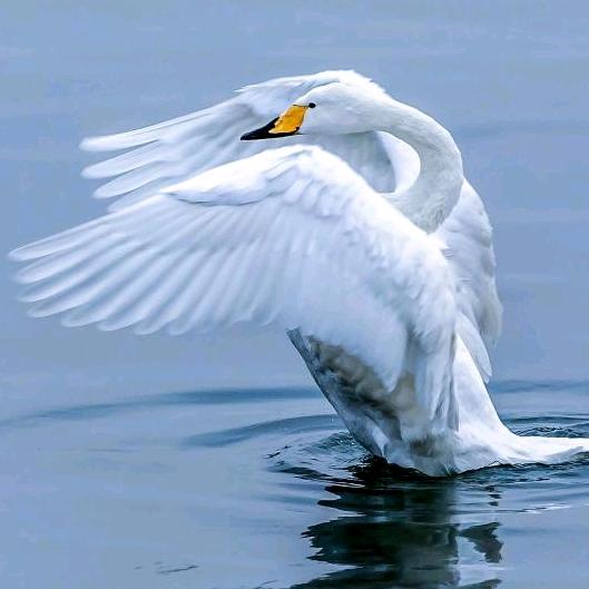 嘻嘻(♡˙︶˙♡)哈哈²⁸⁴