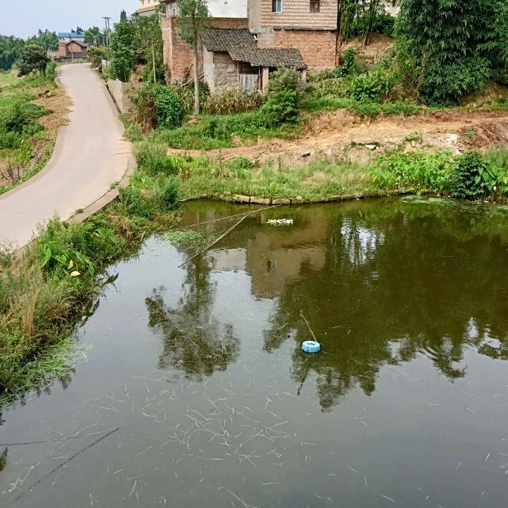 来去自由