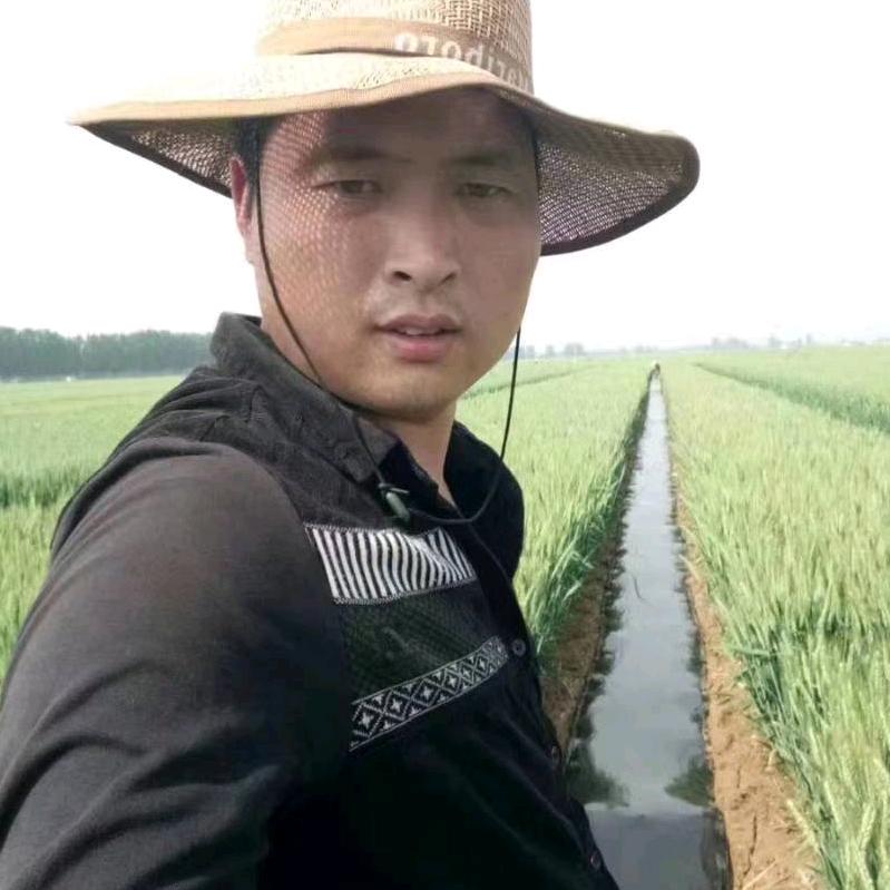 请叫我平哥