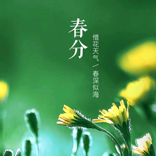 逍遥自在