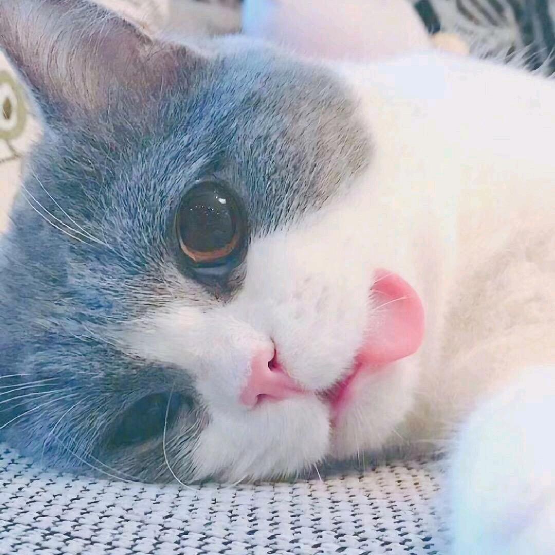 凡人白衣