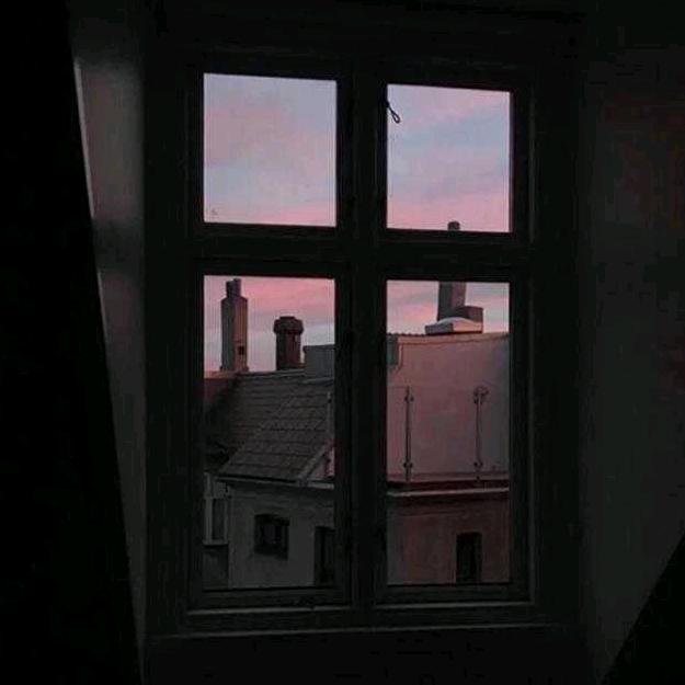 一日看尽长安花🌸