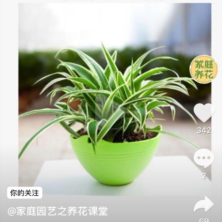 你猜，