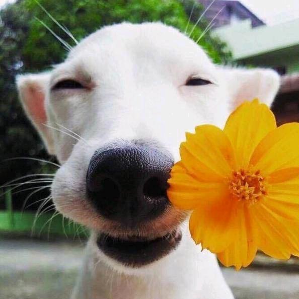 汉中旅游@琪琪呀～