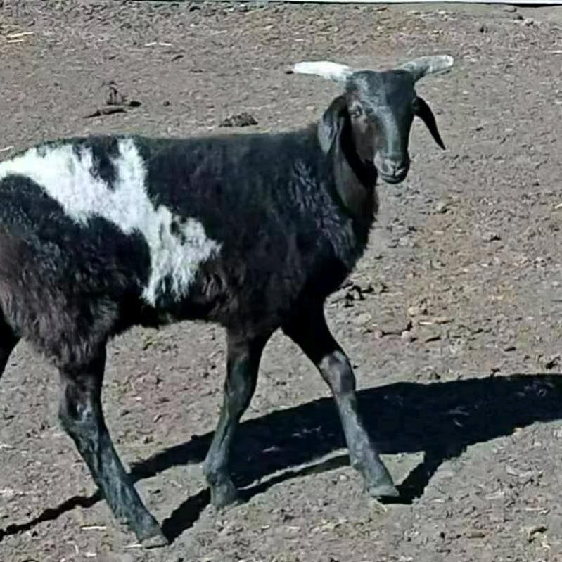 1376