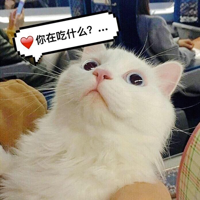 果子爱吃零食