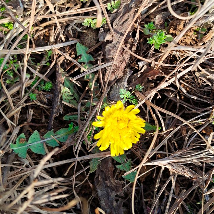 开封家具艺术雕刻