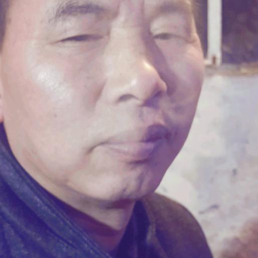 文仔