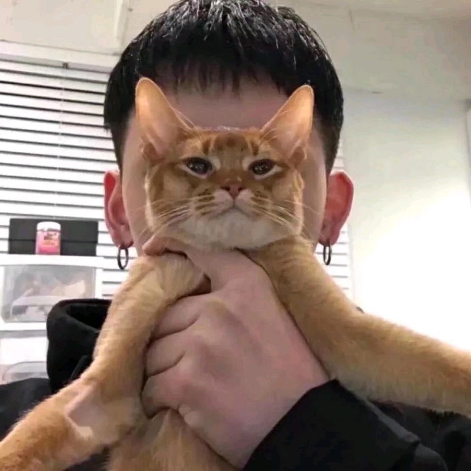 小戴不是小代