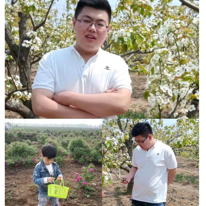 雪落梅开（谢绝连赞）