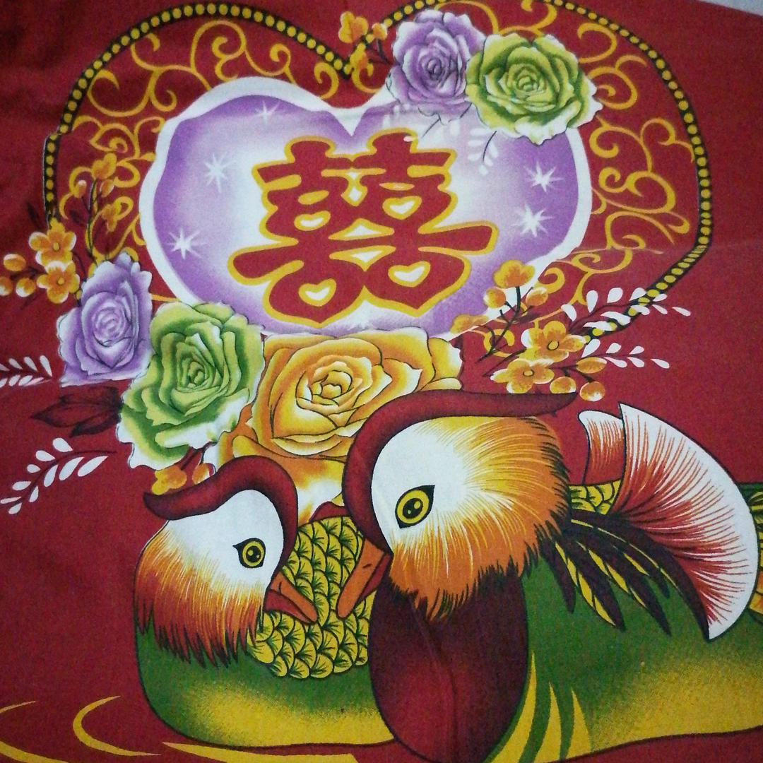 单身东北彬哥