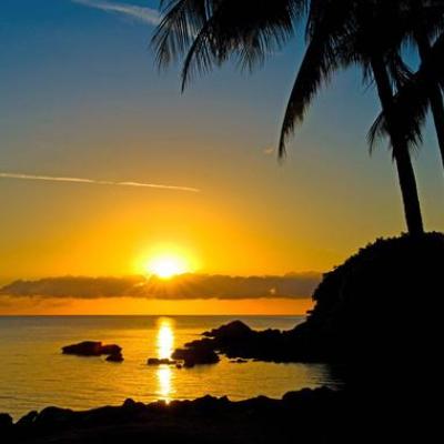 夕阳红