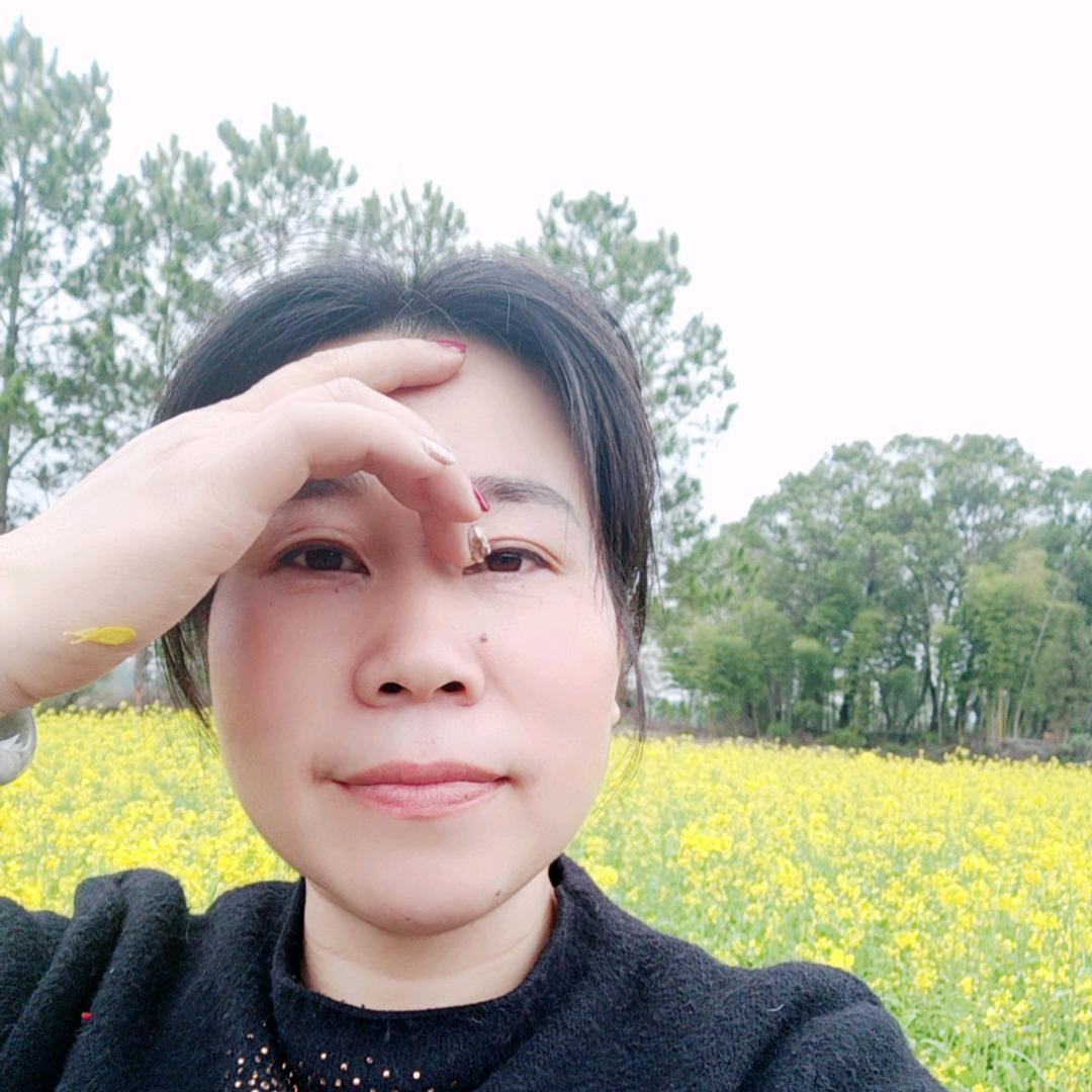 mei梅