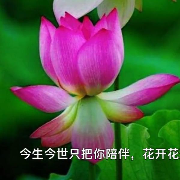 四季如春