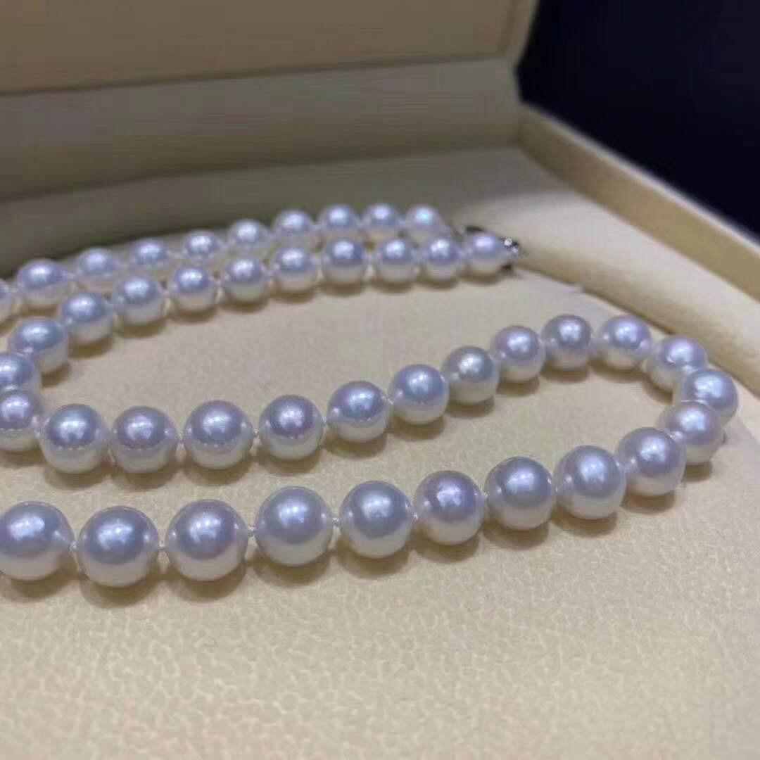 🌈春去花還在🌈